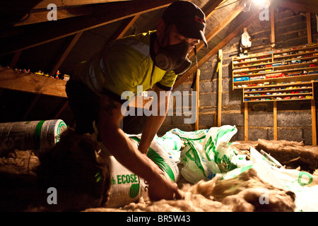 Isolation durable faite de laine en cours d'installation dans un toit à Kirklees, UK. Banque D'Images