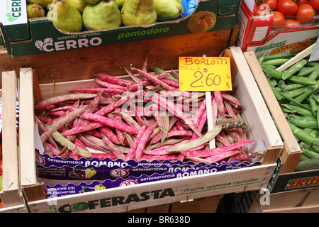 Les haricots Borlotti italien Banque D'Images