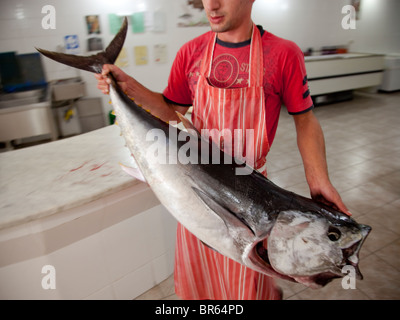 Un travailleur sortant un thon à partir de la chambre froide à un poissonnier à Malte. Banque D'Images