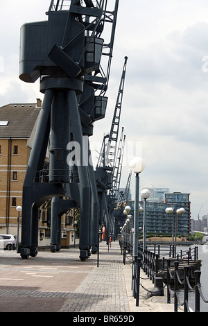 Royal Victoria Dock, London, préservé des grues et des nouveaux logements. Banque D'Images