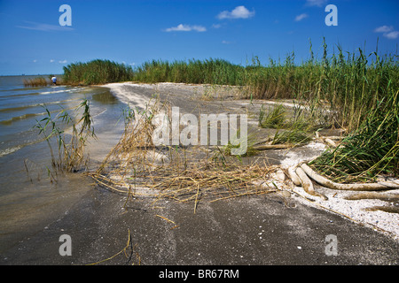 Une plage isolée, à distance, par une partie de la Côte du Golfe. Banque D'Images