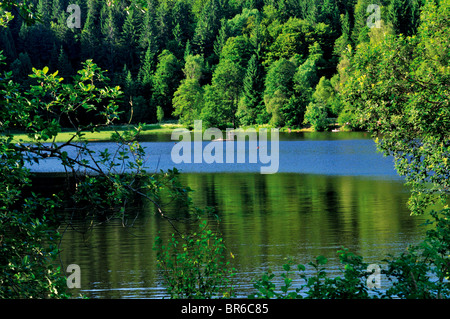 Allemagne, Forêt-Noire : 'lac' Klosterweiher en Dachsberg Banque D'Images