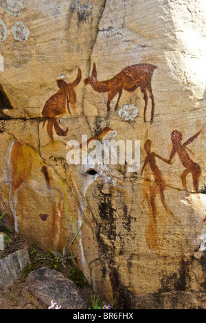 Peintures Bushman, Clanwilliam, Western Cape, Afrique du Sud Banque D'Images