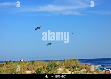 Remorquage avions des bannières de publicité sur plage de Long Beach Long Island NY Banque D'Images