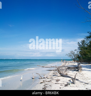 Lighthouse Beach, Sanibel Island, la Côte du Golfe, Florida, USA Banque D'Images