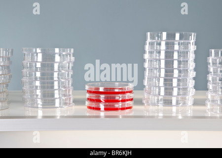 Trois utilisé pétri et des piles de boîtes de Pétri non utilisés Banque D'Images