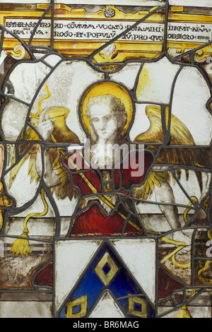 Un grand manteau de panneaux en verre à plomb, Allemagne ou Suisse, vers 1600. Verre incolore avec peinture en partie colorée 'Schwarzlot'. Au centre, un manteau d'armes, tenu par un ange debout. Cadrage architectural. Sur la frontière supérieure, un épigramme en langue latine. Vitrage en plomb renouvelé, une seule plaque est cassée. Cadre en bois avec anneau de suspension sur le dessus. Dimensions 72 x 52 cm. Historique, historique, peuple, XVIIe siècle, artisanat, artisanat, artisanat, objets, objets, alambics, coupures, coupures, découpe, découpes, beaux-arts, art, art, art artistique, homme, homme, homme, homme, homme, homme, homme, homme, homme, Banque D'Images