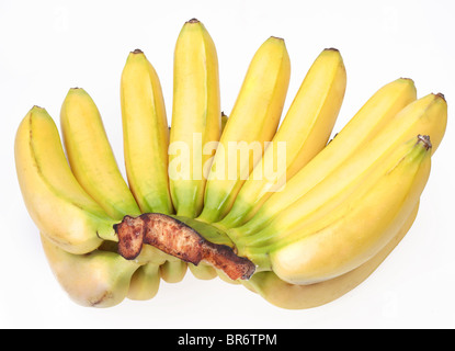 Régime de bananes isolé sur fond blanc Banque D'Images
