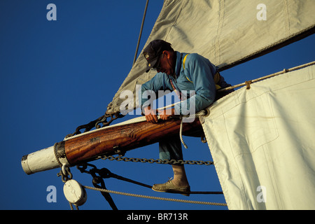 Membre d'équipage à bord Tall Ship 'Gazelle', la définition de la tactique d'une voile carrée à l'extrémité supérieure du bras de cour. Newport, Rhode Island, Banque D'Images