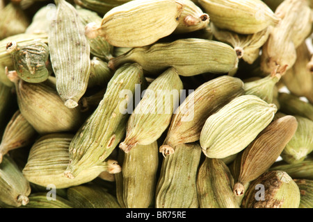 Graines de cardamome close up . Banque D'Images