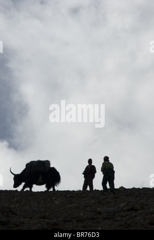 Drokpa tibétain ou nomad avec yak sur le mont Gurla Tibet. Banque D'Images