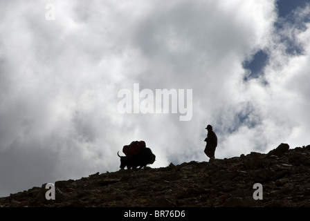 Drokpa tibétain ou nomad avec yak sur le mont Gurla Tibet. Banque D'Images