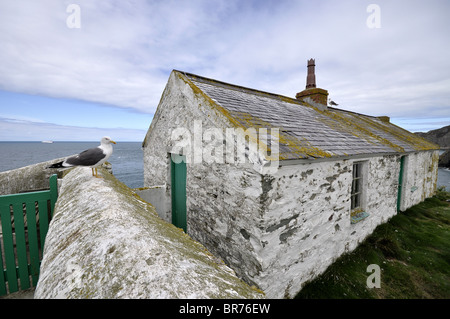 Phare de South Stack keepers cottage Anglesey au nord du Pays de Galles UK Banque D'Images