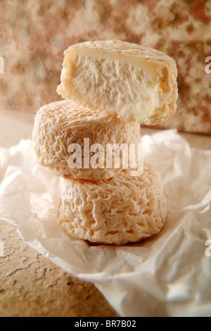 Fromage de chèvre traditionnel français - chèvre. Banque D'Images