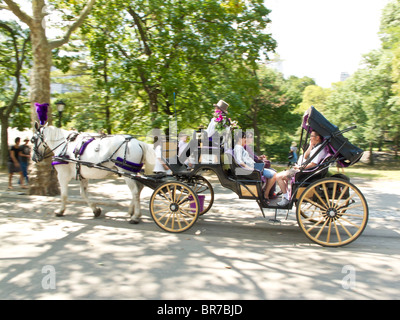 En famille tourisme Balade en Calèche, Central Park, NYC Banque D'Images