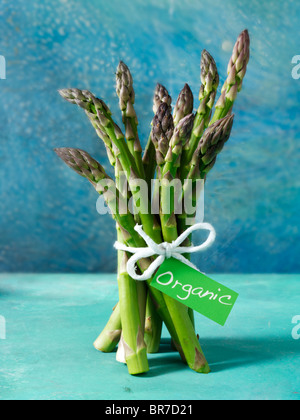 bouquet d'asperges coupées fraîches. Banque D'Images