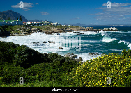 Hermanus et Walker Bay, Western Cape, Afrique du Sud Banque D'Images