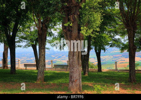 Parc de la ville de colline toscane ville Montalcino Banque D'Images