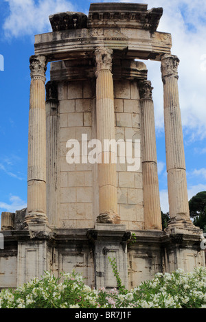 Le Temple de Vesta dans le Forum romain de Rome, Italie Banque D'Images