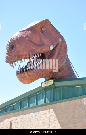 Tête de dinosaure au dessus de l'entrée du monde des dinosaures, Glen Rose, Texas, États-Unis Banque D'Images