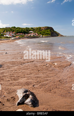 Sur la plage à Runswick Bay sur la côte du Yorkshire du Nord, Angleterre, RU Banque D'Images