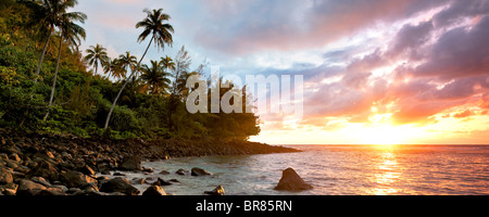 Coucher du soleil à Kee plage avec des palmiers. Kauai, Hawaii. Banque D'Images
