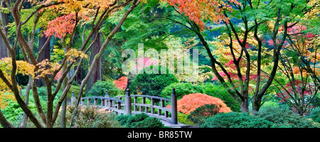 Les jardins japonais de Portland avec pont et couleurs d'automne. Oregon Banque D'Images