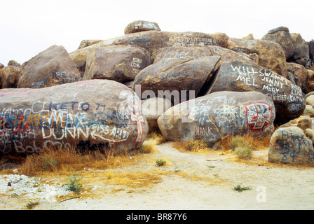 Bombe de peinture graffiti rock nom d'abîmer la nature égoïste de vandalisme vandalisme marque désert détruire Banque D'Images