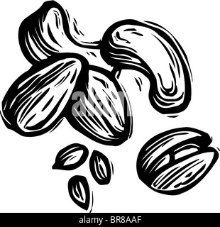 Une illustration de noix mélangées en noir et blanc Banque D'Images