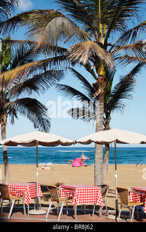 Tables de restaurant sous les palmiers sur la plage de Las Canteras à Las Palmas, Gran Canaria Banque D'Images