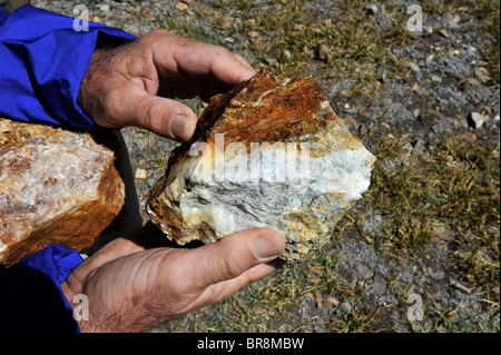 Quartz avec de la pyrite de fer ou d'or d'imbéciles dans la Sierra Nevada Banque D'Images