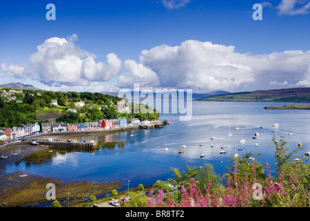 Tobermory, Isle of Mull, Argyll, Scotland, UK. Banque D'Images