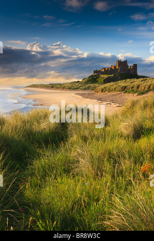 Château de Bamburgh au lever du soleil sur la côte est de Northumberland, Angleterre. Banque D'Images