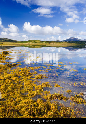 Loch Don, Lochdon, Isle of Mull, Argyll, Scotland, UK. Banque D'Images