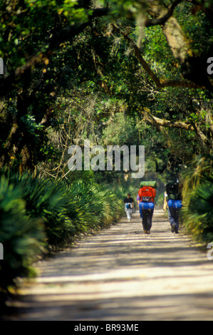 Backpackers à pied dans la solitude tranquille de l'intérieur à travers le sentier maritime vierge forêt sur une journée de printemps ensoleillée sur Georgi Banque D'Images