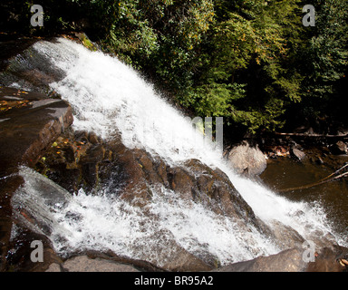 Swallow Falls et chutes boueuses dans le Maryland rugir sur les rochers dans ce pittoresque state park Banque D'Images