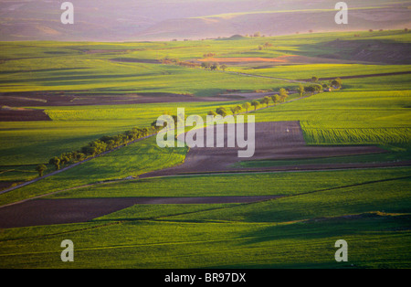 Les terres agricoles. Vue aérienne de la Bureba région. Burgos. Castille-leon. L'Espagne. Le Chemin de St Jacques Banque D'Images