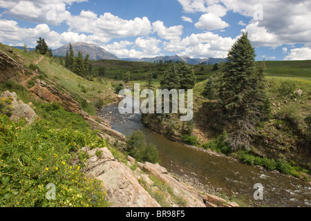 Vue panoramique de la rivière, à Pagosa Springs, Colorado, été 2010 Banque D'Images