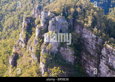 Dans les falaises escarpées de l'Alun Mersey River Gorge près de Mole Creek dans le Nord de la Tasmanie Banque D'Images