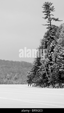 L'un des peuplements d'arbres couverts de neige au-dessus du repos et des tours au-dessus de deux personnes marchant sur le lac gelé. Banque D'Images