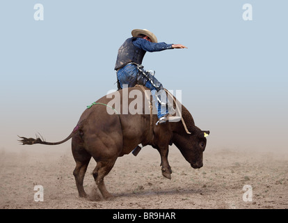 Bull Rider sur un fond clair Banque D'Images