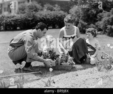 Années 1950 DANS LA FAMILLE JARDIN planter des fleurs Banque D'Images