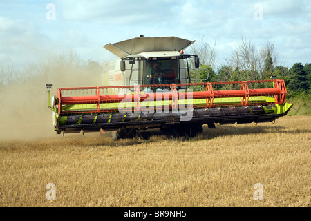 Moissonneuse-batteuse Claas Shottisham, Suffolk, Angleterre Banque D'Images