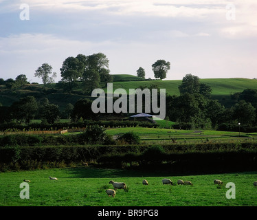 Navan Fort, co Armagh, en Irlande Banque D'Images