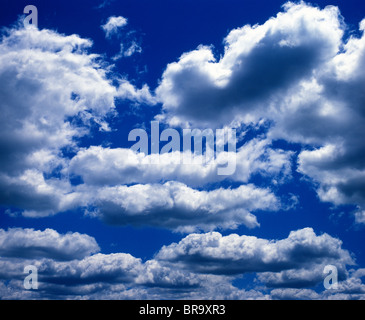 Les CUMULUS DANS LE CIEL BLEU Banque D'Images