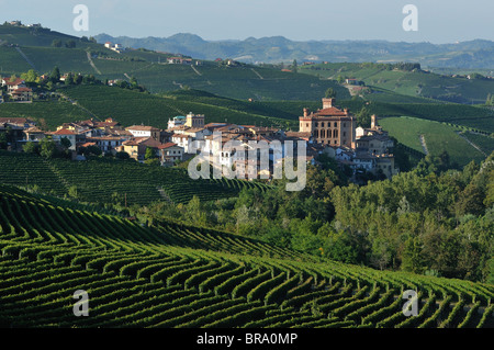 Barolo. L'Italie. La petite ville de Barolo niché au milieu des vignes dans la région des Langhe du Piémont. Banque D'Images