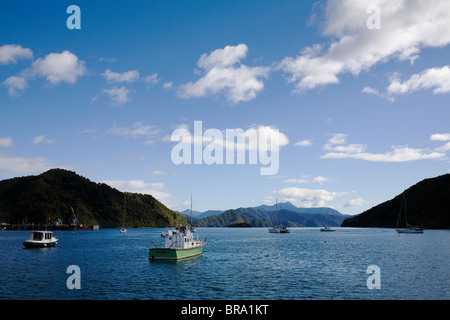 Bateaux dans le port de Picton en haut de l'île Sud de la Nouvelle-Zélande. Banque D'Images