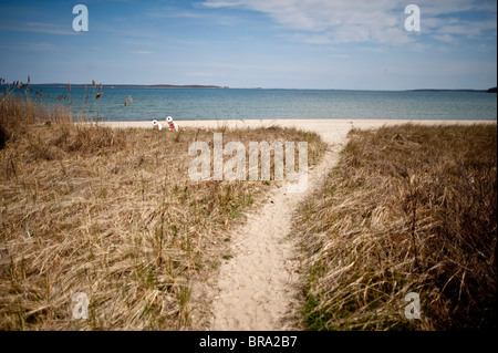 Les images prises dans la communauté d'Azurest Sag Harbor, New York. Une plage de la communauté afro-américains à l'extrémité orientale de Long Island Banque D'Images