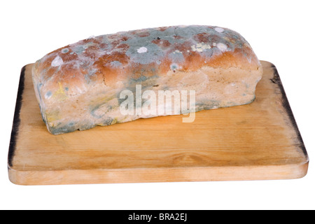 Miche de pain moisi on white Banque D'Images