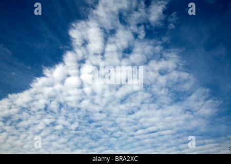 Cirro Cumulus souvent appelé maquereaux ciel Banque D'Images